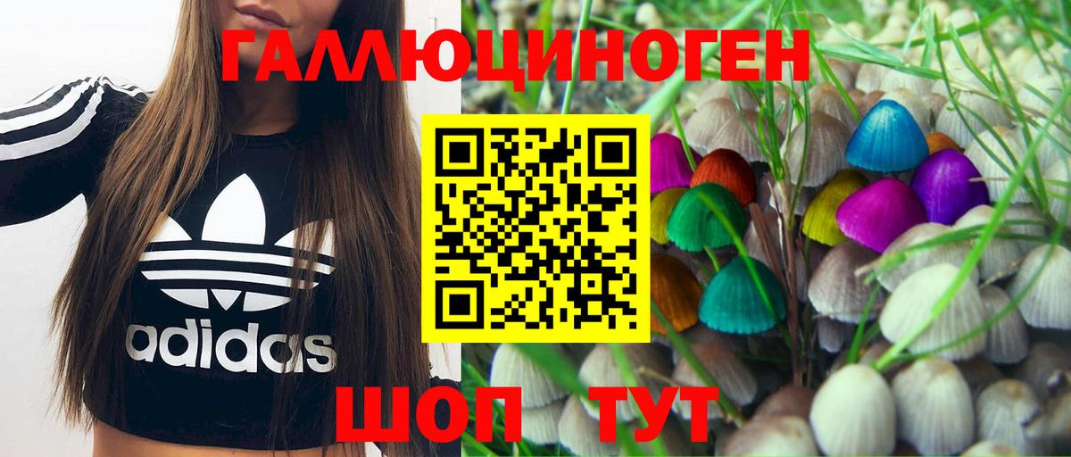 Электрогорск  Псилоцибиновые грибы мухоморы  что такое наркотик  Вход с VPN  Галлюциногенные грибы ЛСД 